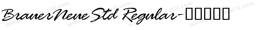 BrauerNeueStd Regular字体转换